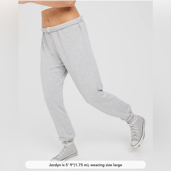 NEW Aerie OFFLINE OTT soft, COMFY! stretchy sweatpants size large, grey heather - Picture 3 of 10